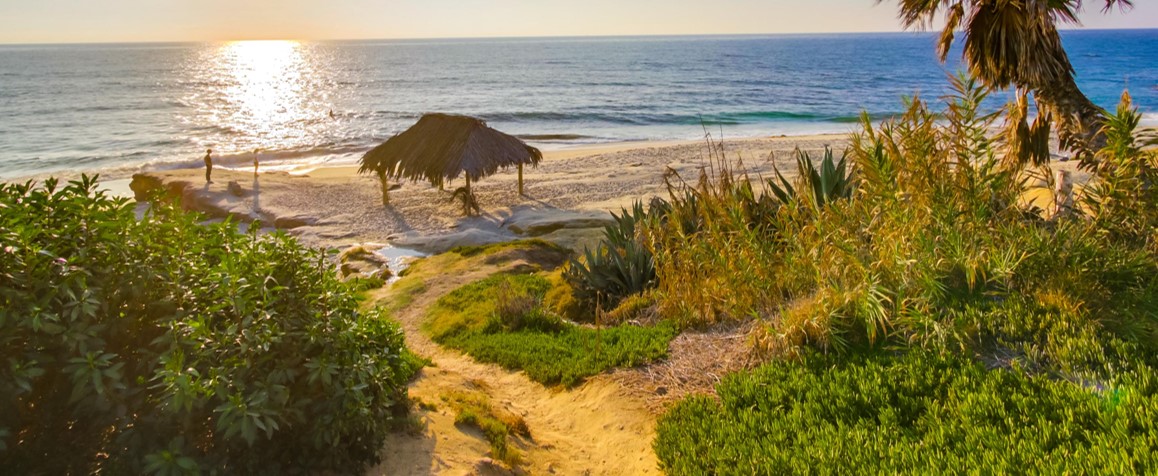 Best Beaches in San Diego